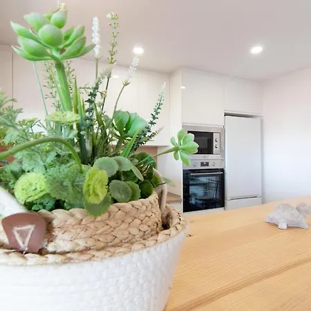 Apartamento Global Properties, Apartamento En La Playa De